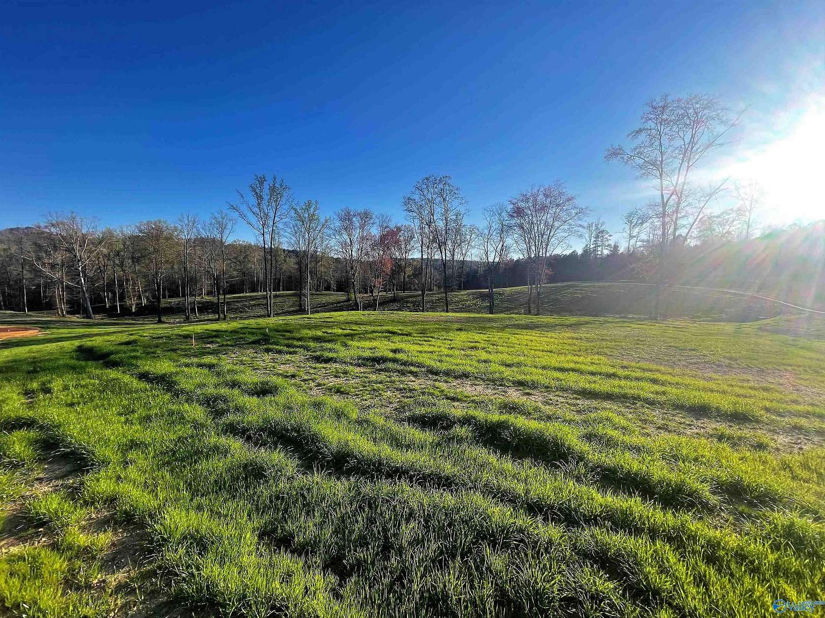 0.64 Acres of Residential Land for Sale in Altoona, Alabama