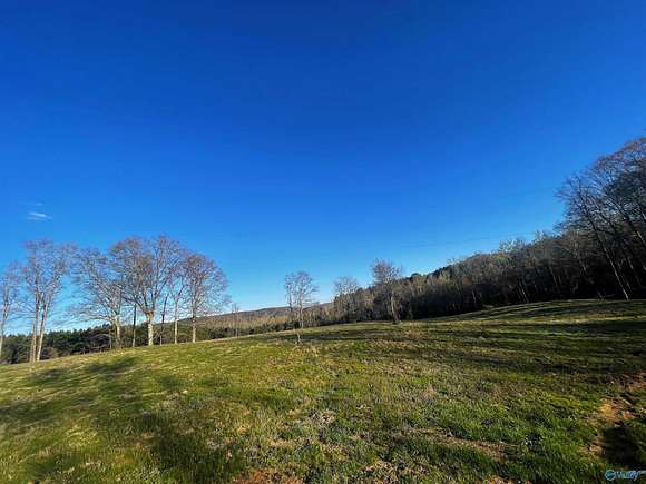 0.53 Acres of Residential Land for Sale in Altoona, Alabama