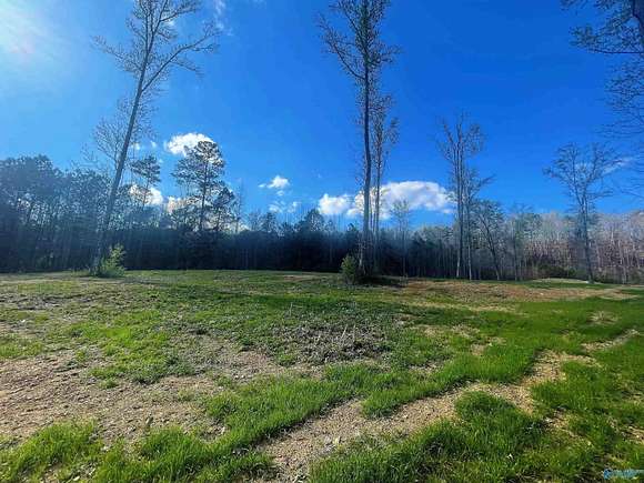 0.55 Acres of Residential Land for Sale in Altoona, Alabama