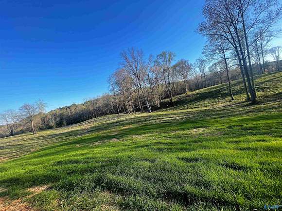1.1 Acres of Residential Land for Sale in Altoona, Alabama