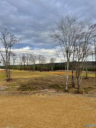 0.66 Acres of Residential Land for Sale in Altoona, Alabama