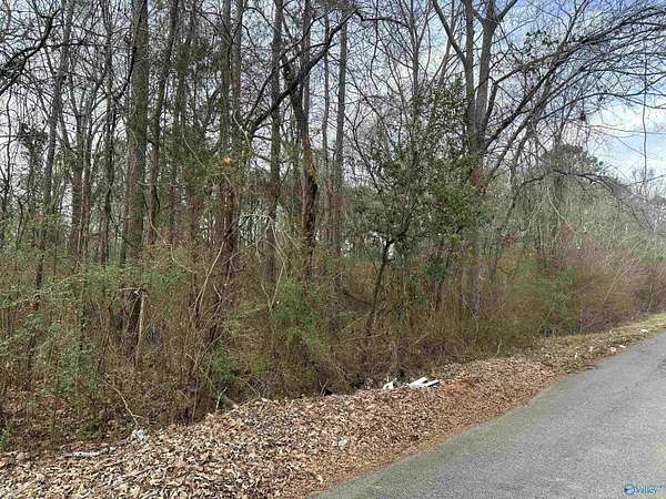 Land for Sale in Gadsden, Alabama