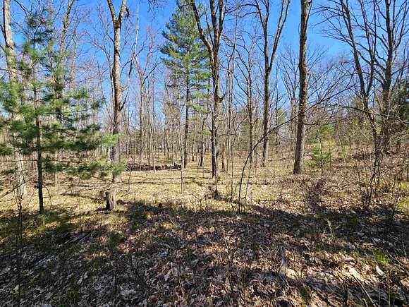 12.3 Acres of Land for Sale in Harrison, Michigan