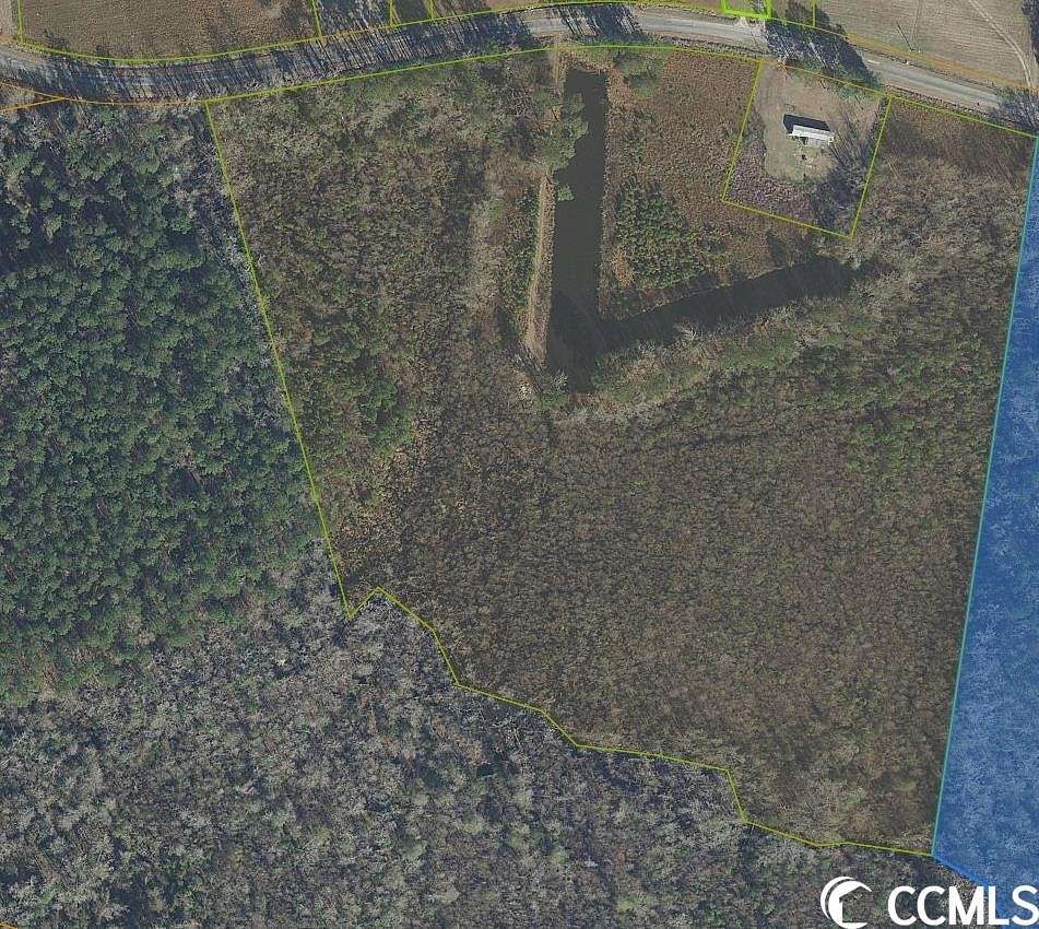 23 Acres of Recreational Land for Sale in Nichols, South Carolina