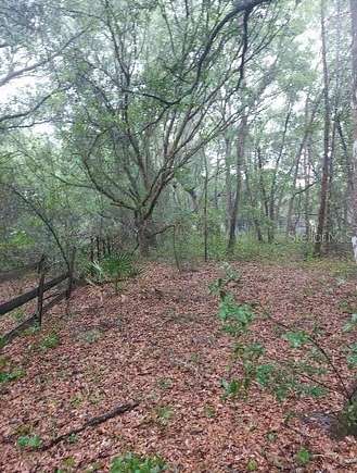 0.25 Acres of Residential Land for Sale in Silver Springs, Florida