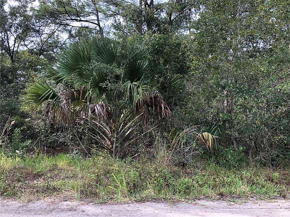 5.34 Acres of Land for Sale in Geneva, Florida