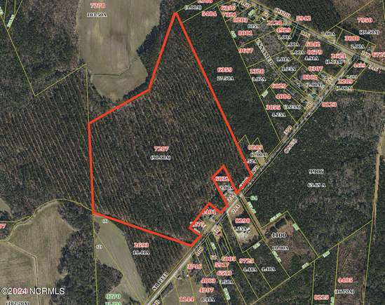 90 Acres of Land for Sale in Pollocksville, North Carolina