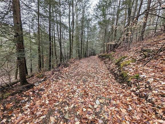 19.1 Acres of Recreational Land for Sale in Corning, New York