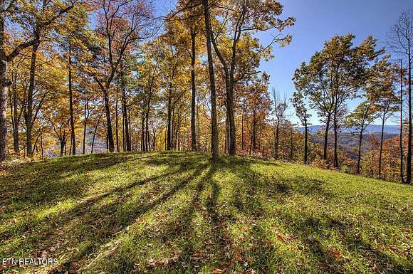 332 Acres of Recreational Land for Sale in Walland, Tennessee
