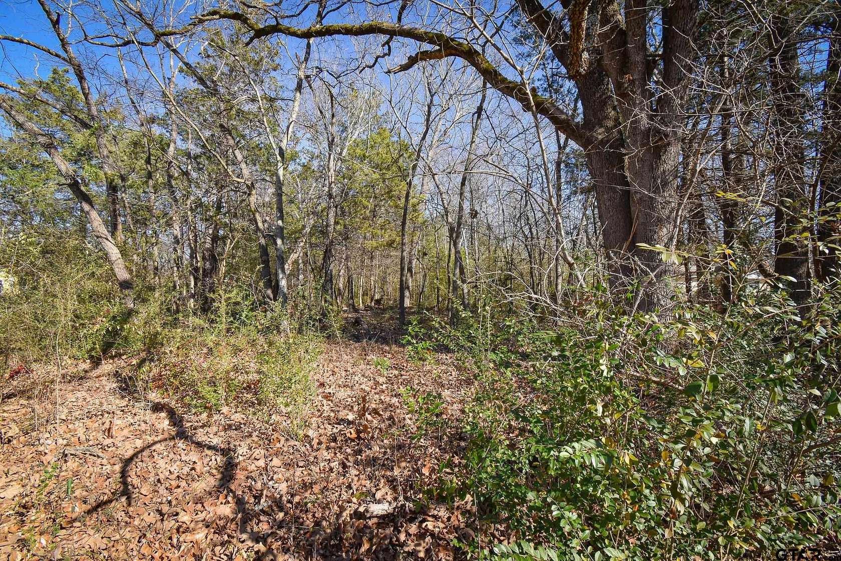 1.1 Acres of Residential Land for Sale in Whitehouse, Texas