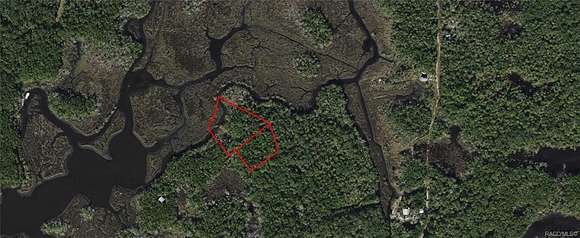 1 Acre of Land for Sale in Homosassa, Florida