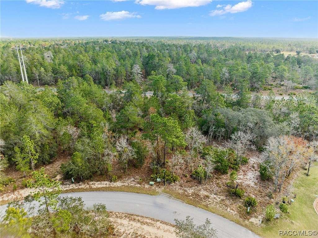 0.28 Acres of Land for Sale in Homosassa, Florida