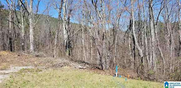 0.52 Acres of Residential Land for Sale in Chelsea, Alabama