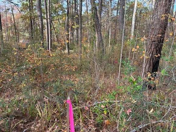 0.56 Acres of Land for Sale in Many, Louisiana