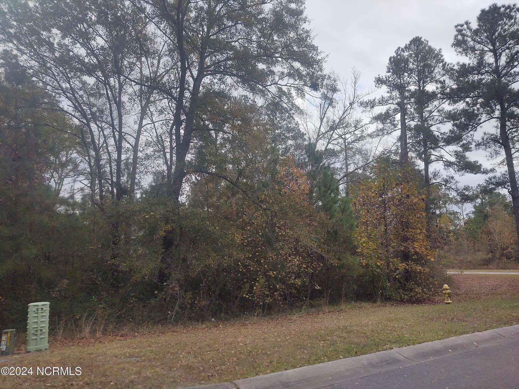 0.39 Acres of Residential Land for Sale in Leland, North Carolina
