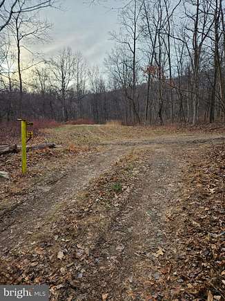 48 Acres of Recreational Land for Sale in Saint Thomas, Pennsylvania