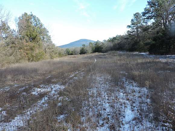 140 Acres of Land for Sale in Waldron, Arkansas