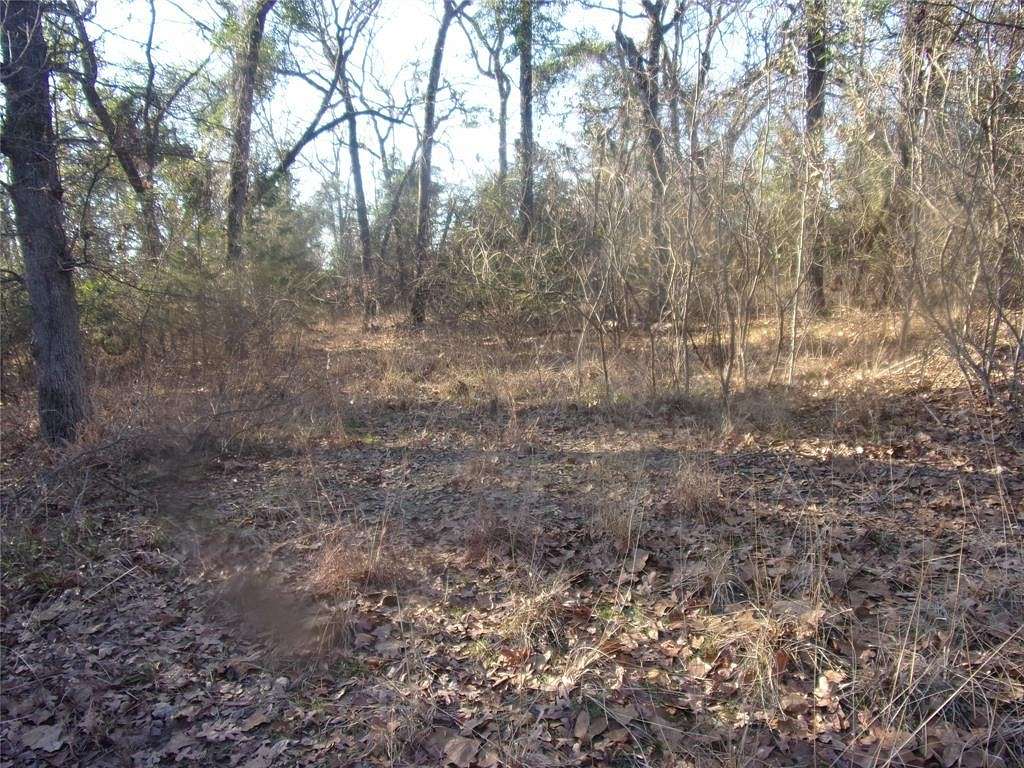 0.63 Acres of Residential Land for Sale in Murchison, Texas