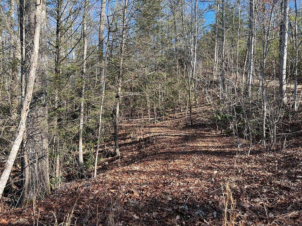 2 Acres of Residential Land for Sale in Cosby, Tennessee