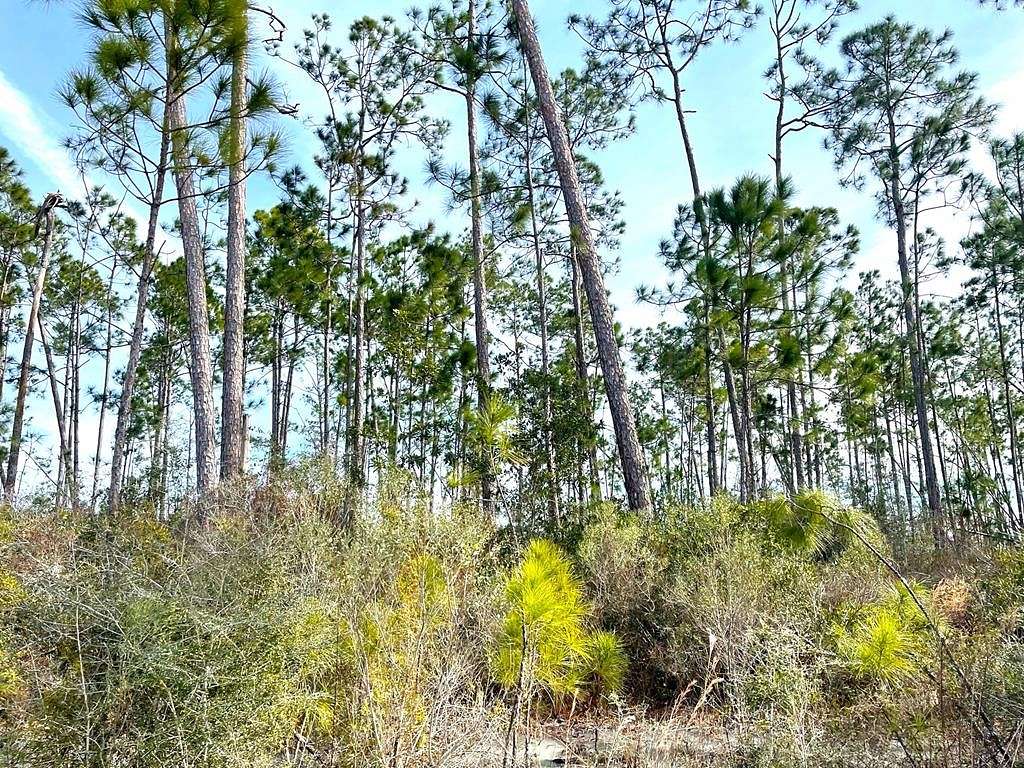 0.55 Acres of Residential Land for Sale in Wewahitchka, Florida