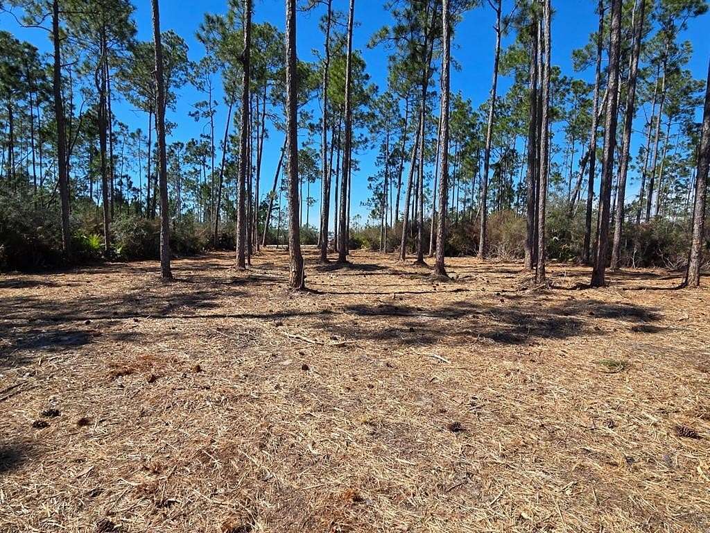 0.55 Acres of Residential Land for Sale in Wewahitchka, Florida