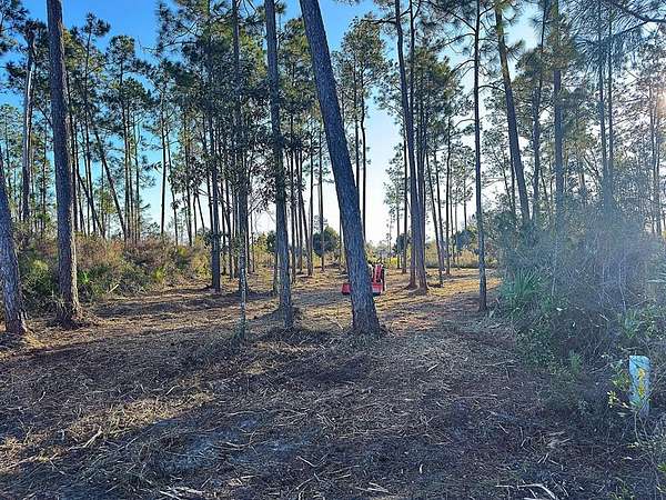 0.55 Acres of Residential Land for Sale in Wewahitchka, Florida
