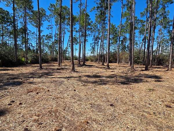 0.55 Acres of Residential Land for Sale in Wewahitchka, Florida