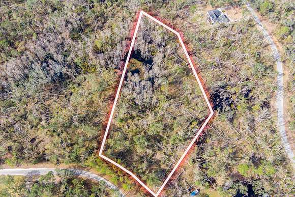2.5 Acres of Recreational Land for Sale in Perry, Florida