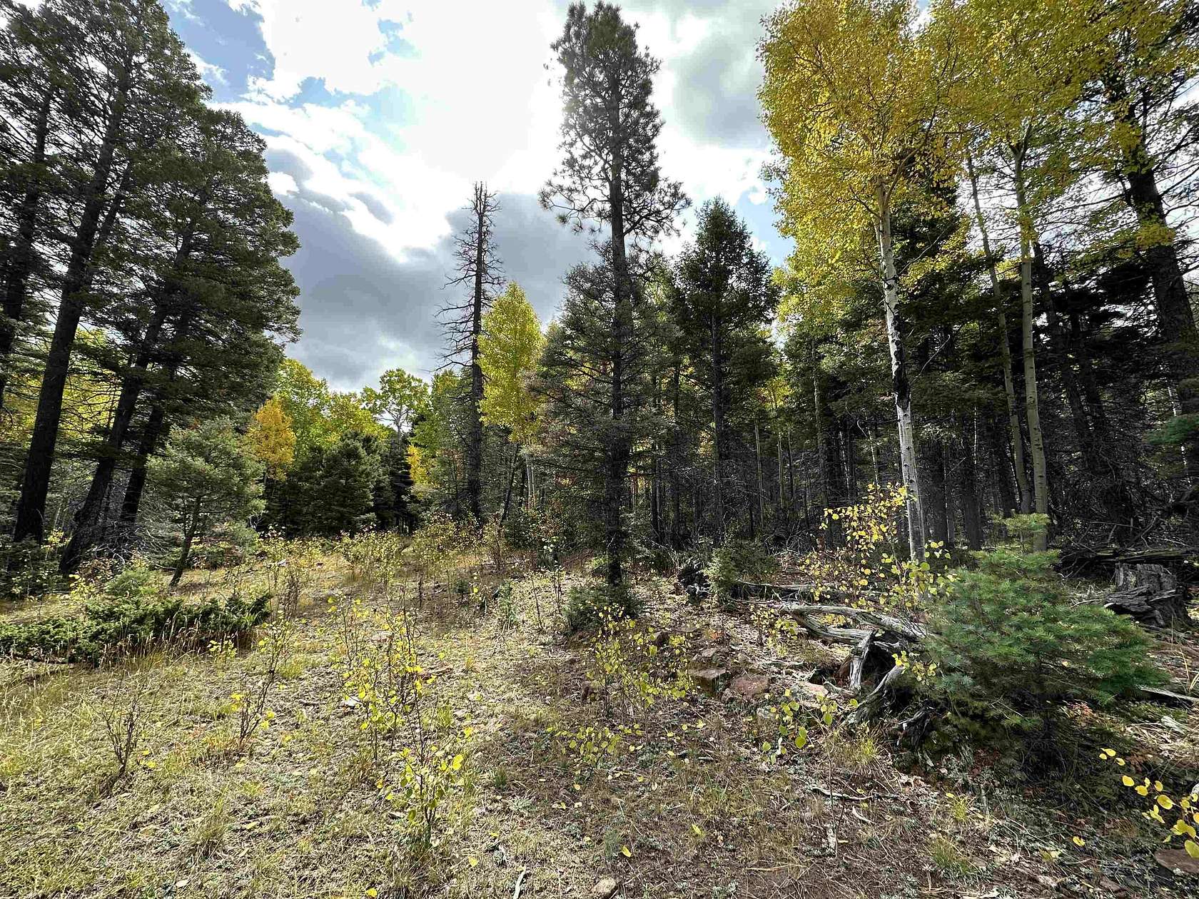 8.8 Acres of Residential Land for Sale in Angel Fire, New Mexico