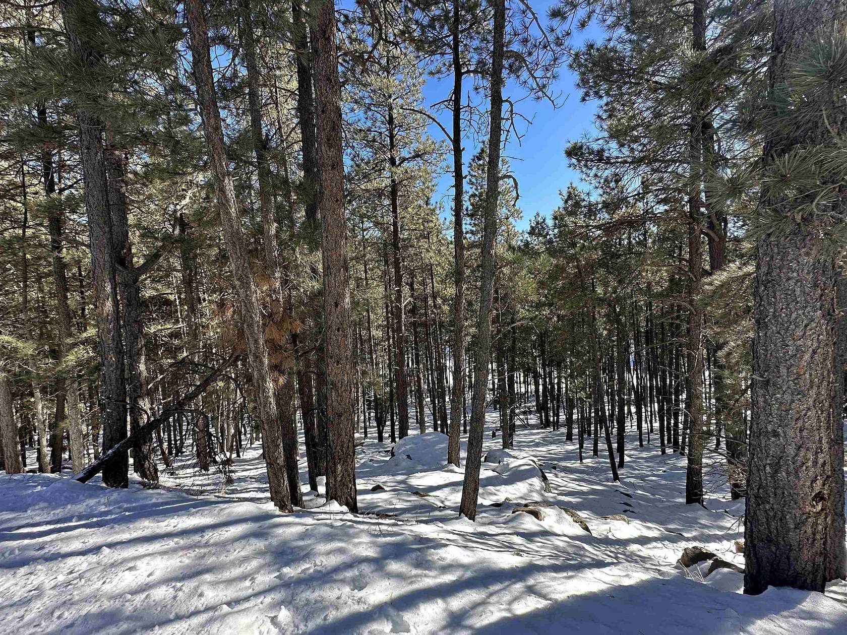 0.91 Acres of Residential Land for Sale in Angel Fire, New Mexico
