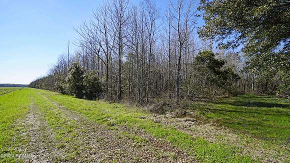 8.77 Acres of Land for Sale in Breaux Bridge, Louisiana
