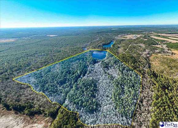 76 Acres of Recreational Land for Sale in Patrick, South Carolina