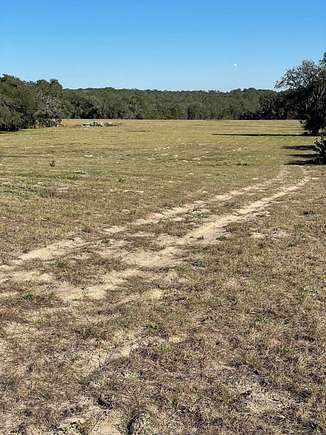 27 Acres of Recreational Land & Farm for Sale in Weirsdale, Florida