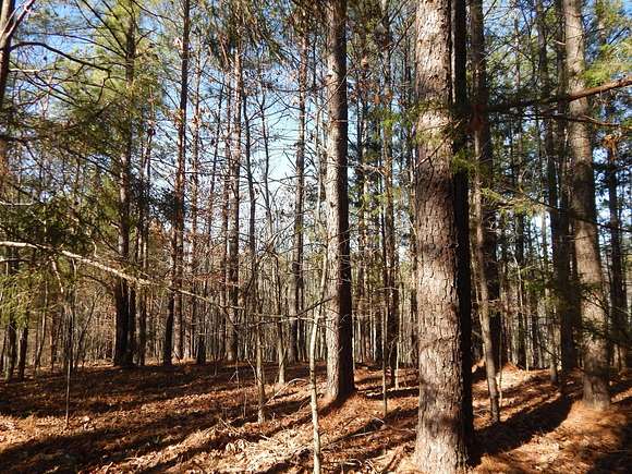 185 Acres of Land for Sale in Waynesboro, Tennessee