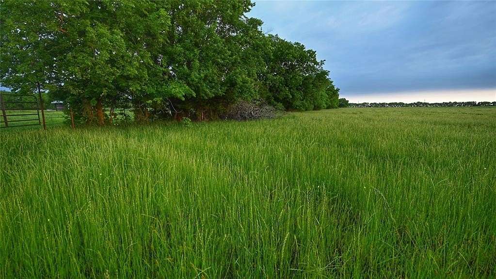 56 Acres of Recreational Land for Sale in Whitewright, Texas