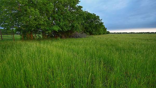 56 Acres of Land for Sale in Whitewright, Texas