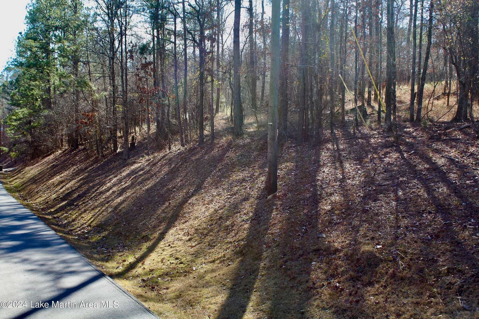 1.4 Acres of Residential Land for Sale in Dadeville, Alabama