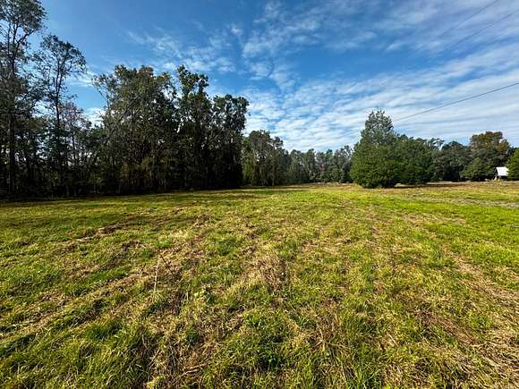 21.5 Acres of Recreational Land for Sale in Madison, Florida