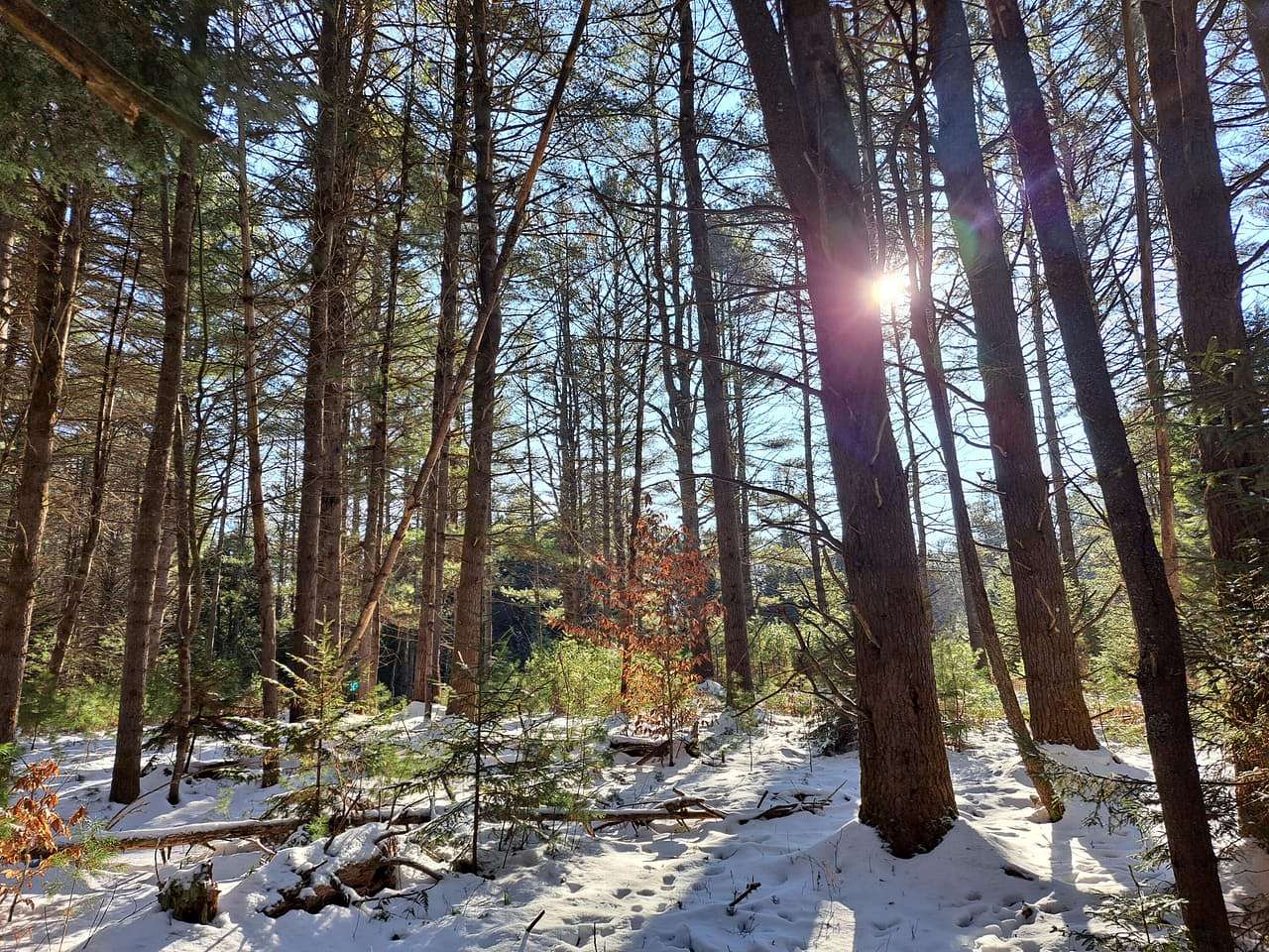 64 Acres of Recreational Land for Sale in Northville, New York