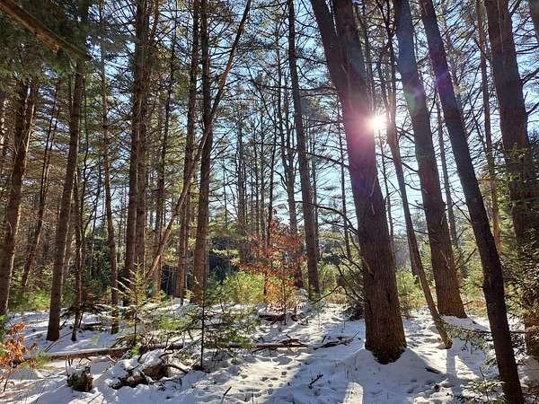 64 Acres of Recreational Land for Sale in Northville, New York