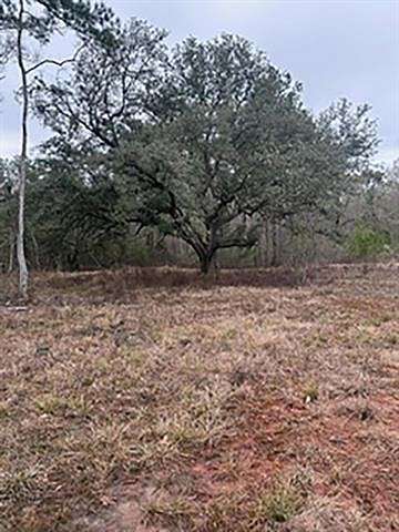 4 Acres of Residential Land for Sale in Holden, Louisiana