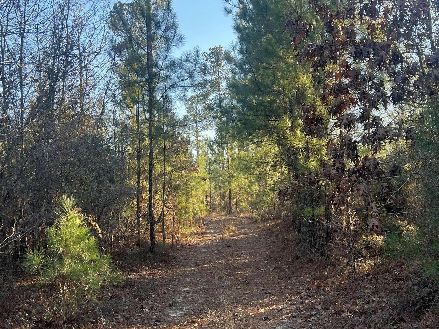 3.8 Acres of Residential Land for Sale in Windsor, South Carolina