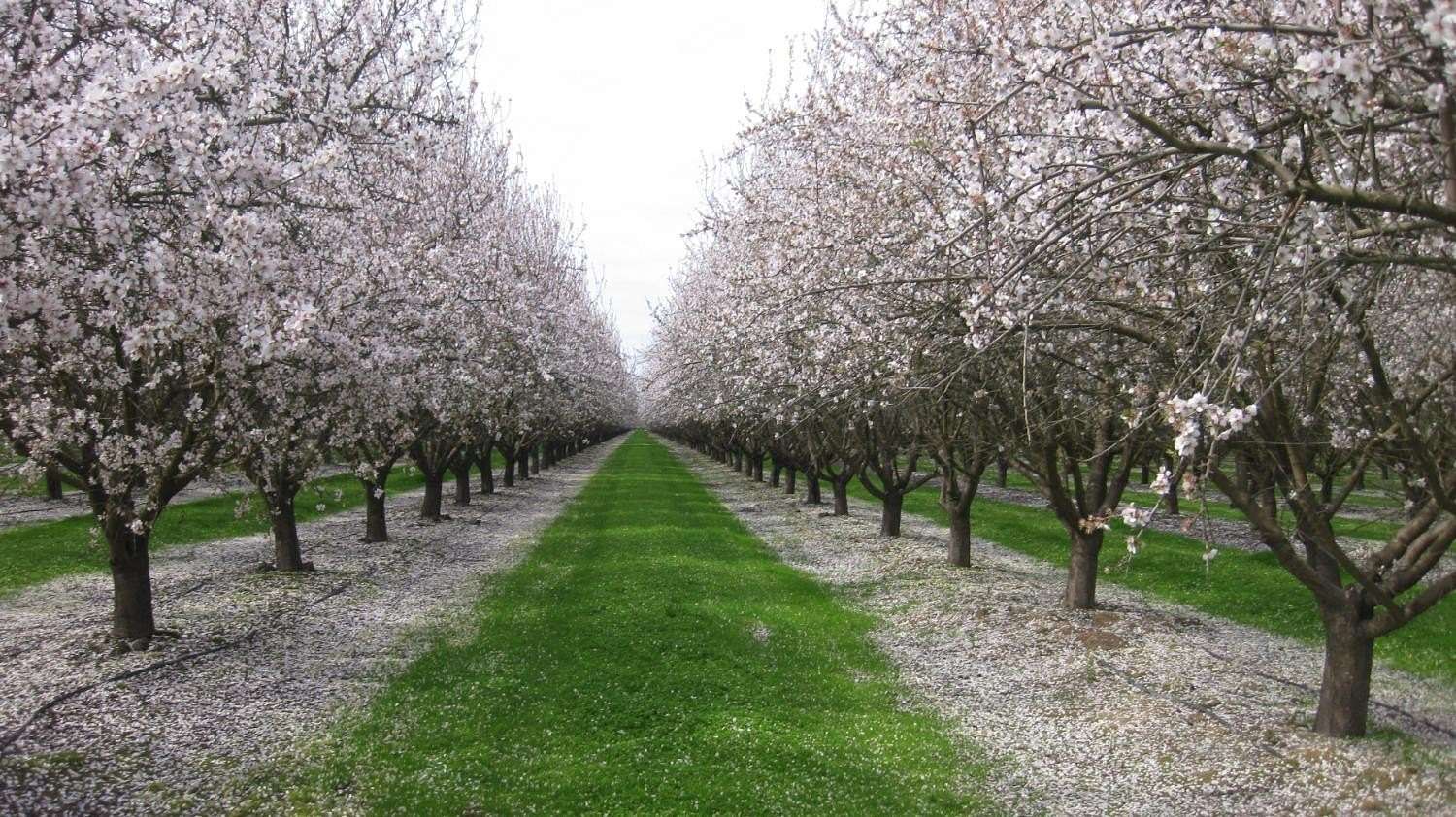 783 Acres of Land for Sale in Madera, California