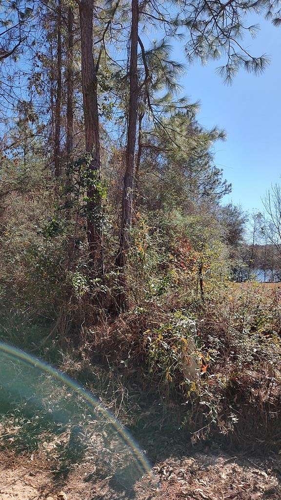 0.47 Acres of Land for Sale in Lumberton, Mississippi