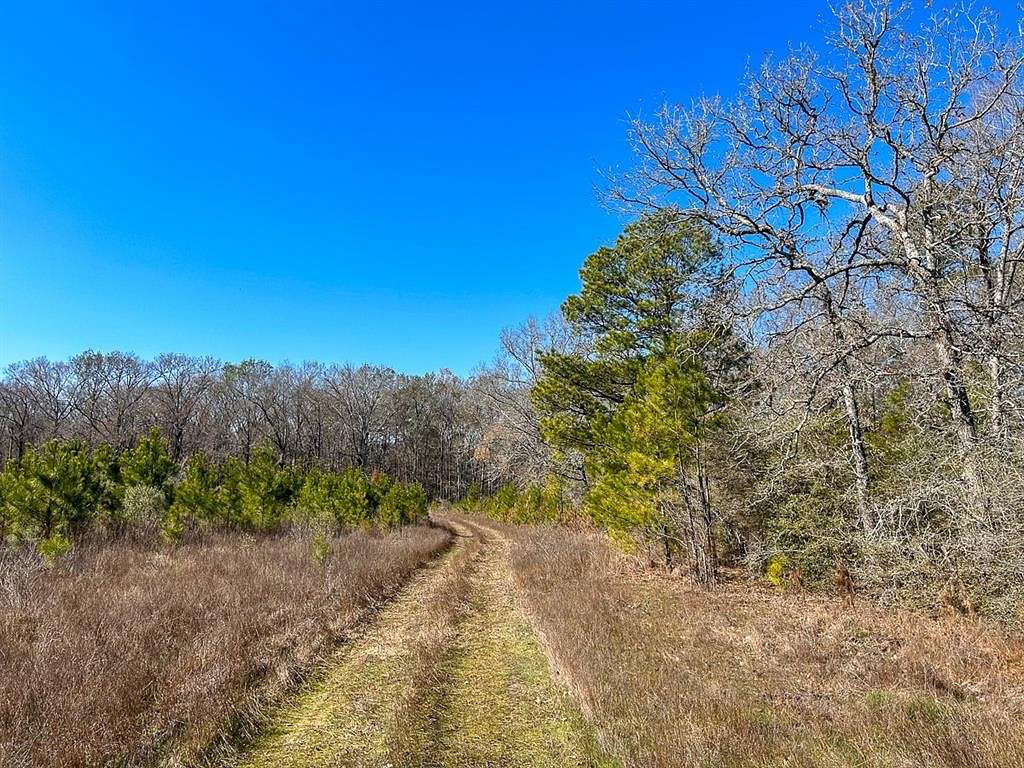 69 Acres of Recreational Land for Sale in Huntington, Texas