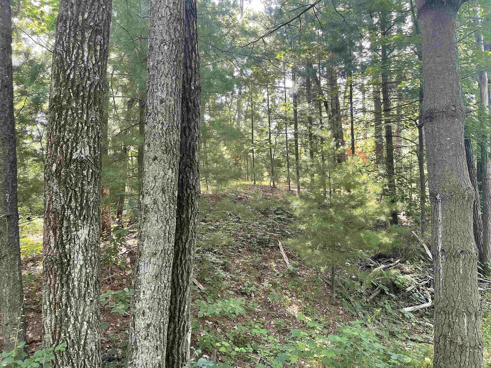1.4 Acres of Residential Land for Sale in Wautoma, Wisconsin