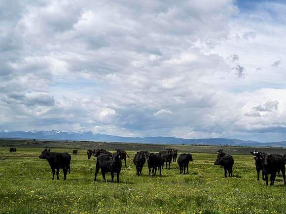 2,000 Acres of Recreational Land & Farm for Sale in Wisdom, Montana