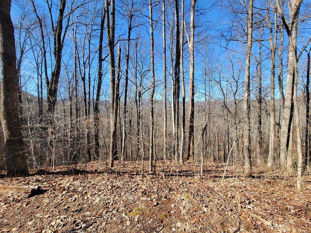 1.2 Acres of Residential Land for Sale in Cartoogechaye Township, North Carolina