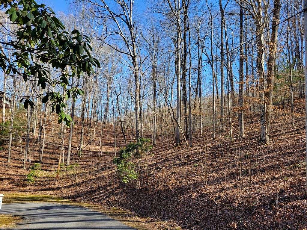 1 Acre of Residential Land for Sale in Cartoogechaye Township, North Carolina
