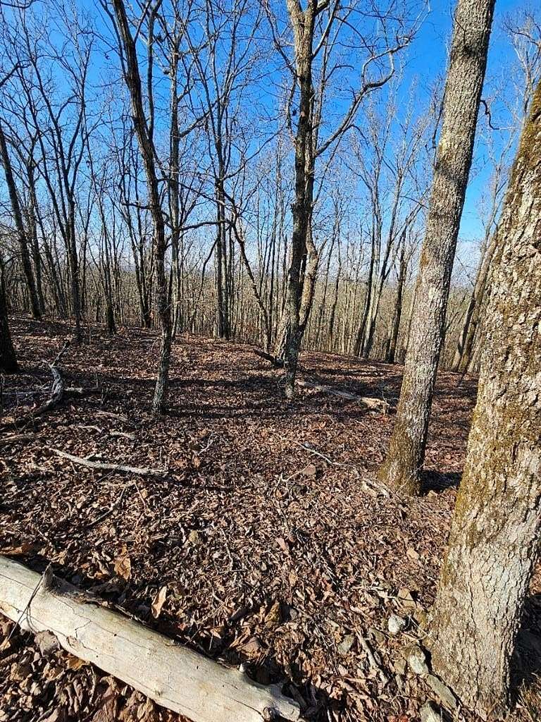 1.14 Acres of Residential Land for Sale in Waverly Hall, Georgia